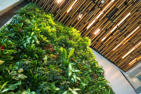 What's the Best Method to Create a Sustainable Living Wall in a UK Office?