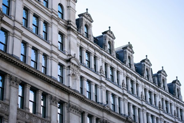 What are the best plants for purifying indoor air in a London flat?